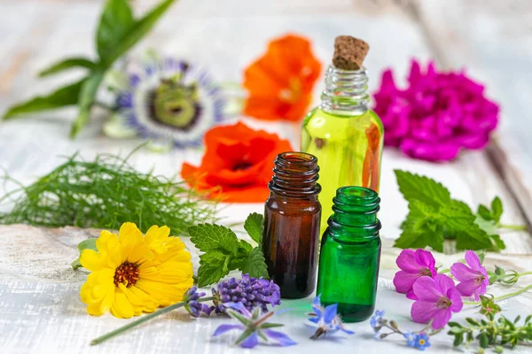 Bottles Essential Oils Surrounded Multicolored Medicinal Plants — Stock Photo, Image