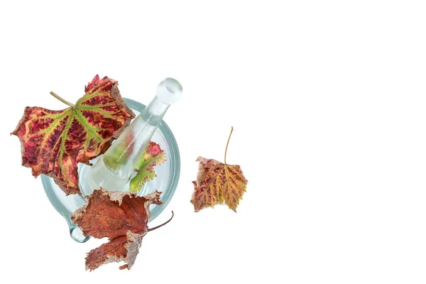 Vine Leaves Glass Mortar — ストック写真