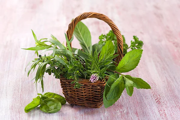 Assortment Aromatic Plants Tarragon Mint Chive Basil Sage — ストック写真