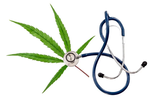 Stethoscope Placed Cannabis Leaf Bench Background — 스톡 사진