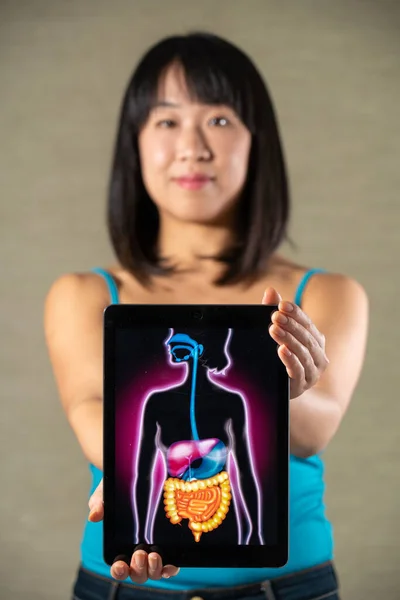Woman Holding Screen Drawing Digestive System — Stock Photo, Image
