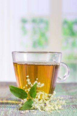 elder flower blossoms tea on a white background
