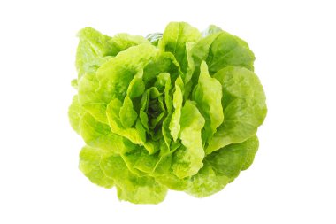 Lettuce. isolated on white background