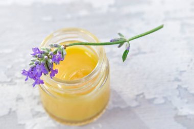 bee beekeeping organic close-up view