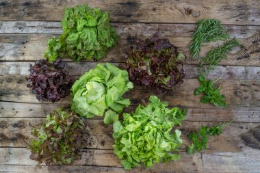 Salads close-up view