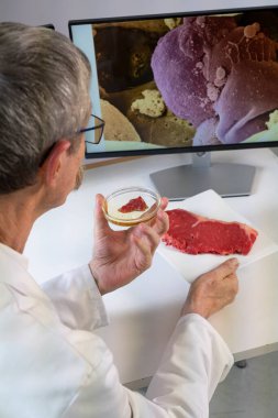 Researcher presenting meat created from stem cells in front of computer screens with medical images of a stem cell.