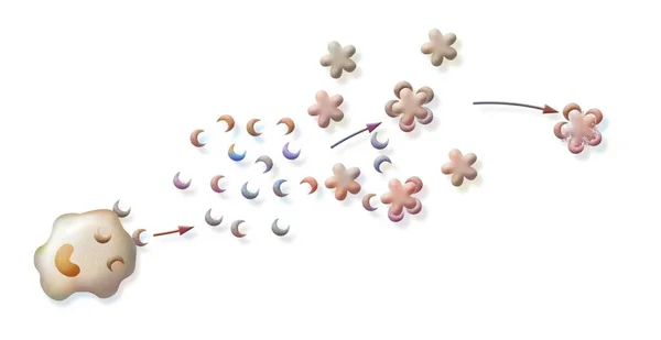 Immune Reaction Destruction Bronchitis Virus Antibodies — Zdjęcie stockowe