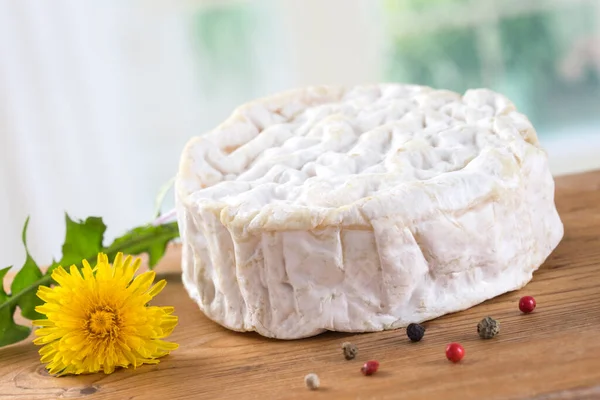 Traditional Camembert Cheese Normandy — Fotografia de Stock
