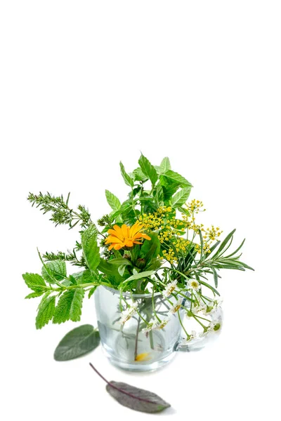 Cup Herbal Tea Plant Flowers Isolated White — Stok fotoğraf