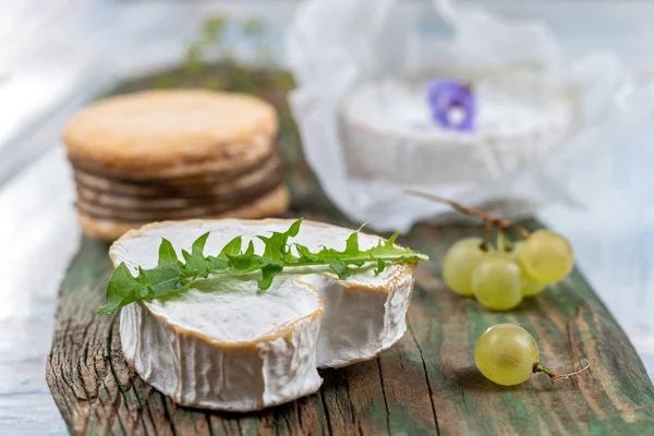 Close Neufchtel Normandy Cheese Cheeses Background — ストック写真