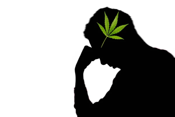 Silhouette Depressed Man Ravaged Cannabis Addiction White Background — 스톡 사진