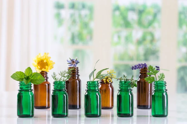 Herbal Medicine Close View — Stock Photo, Image