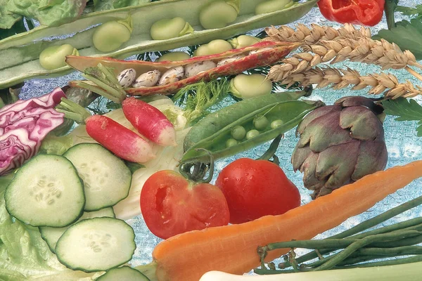Vegetables Miscellaneous Close Background — Stockfoto