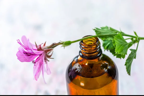 Geranium Essential Oil Extract Infusion Remedy Tincture Container — Stockfoto