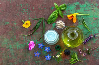 Medicinal plants around cosmetics, food supplements, essential oils, top view for herbal medicine.
