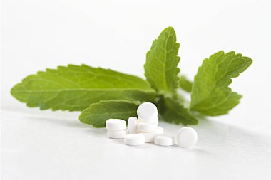 STEVIA close-up view