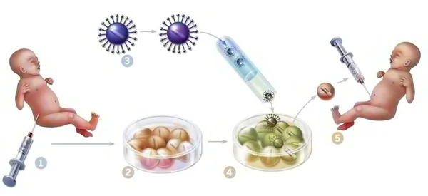 Gene Therapy Introduction Retroviruses Modify Mutated Spinal Cord Cells Newborn — Foto de Stock