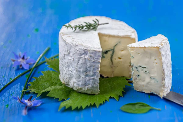 Close Bleu Auvergne French Cheese Blue Board — ストック写真