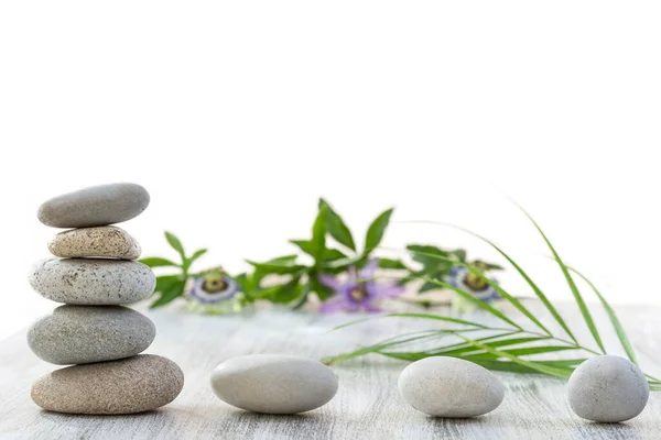 Spa Still Life Passiflora Flower Zen Stones Closeup White — Stock Photo, Image