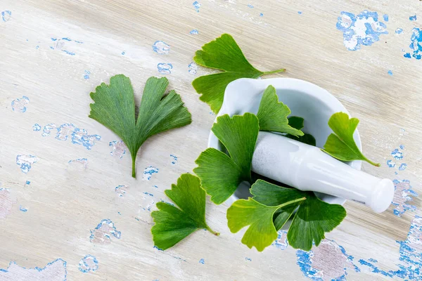 Ginkgo Biloba Leaves Mortar White Background Top View — Stockfoto