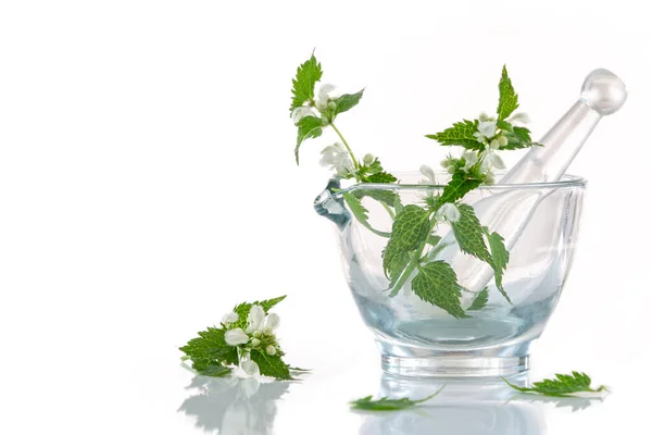 Image Nettles Glass Mortar Isolated White Background — Stock Photo, Image