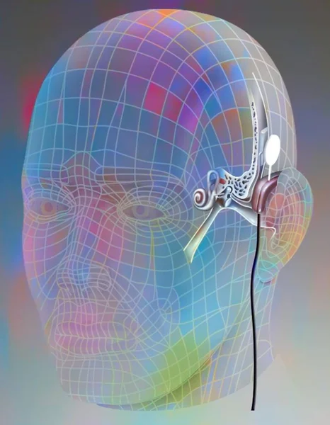 Simulation of a new generation cochlear implant.