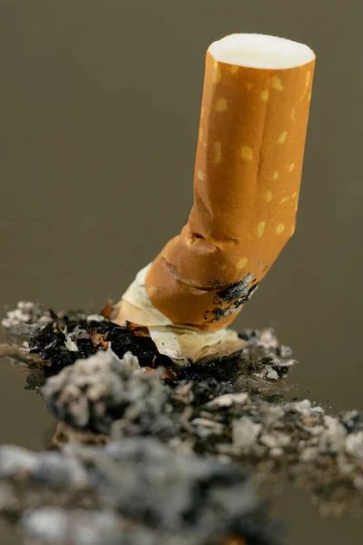 Cigarette Close View — Stock Photo, Image