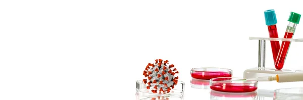 Covid Koronavirus Lékařský Výzkum Laboratorní Vědec Ukazuje Korona Virus Model — Stock fotografie