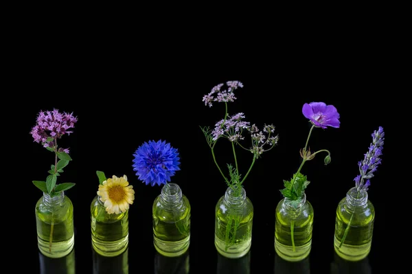 Different healing flowers in small glass bottles on wblackhite