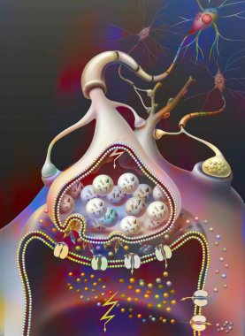 Displacement of the action potential (influx) in the synapse.