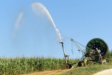 Watering fields at sunny day