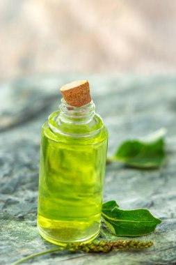 Plantain essential oil in a drop bottle on wooden background.