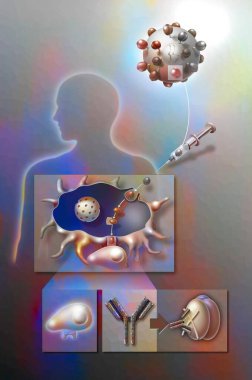 First attempt to search for a virus against AIDS by injecting GP120 molecules into the body.