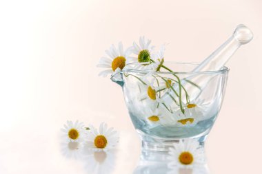 Image of daisies in a glass mortar isolated on white background.
