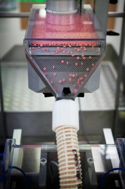 Pharmaceutical production unit specializing in the packaging and distribution of tablets.