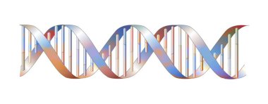 DNA double helix structure with adenine, thymine, cytosine, guanine.