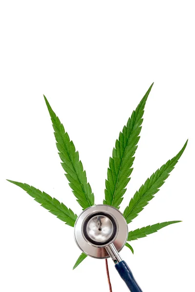 Stethoscope Placed Cannabis Leaf Bench Background — 스톡 사진