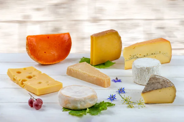 Selection French Dutch Cheeses Placed White Board — Stock Photo, Image