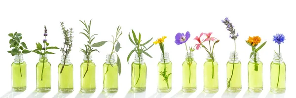 Panoramic Essential Oil Flowers Cornflower Eucalyptus Tarragon Geranium Geranium Lavender — Stockfoto