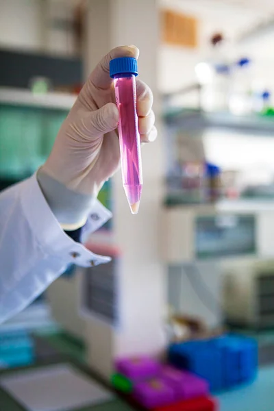 Βιοαπόπλυση Τεχνητή Παραγωγή Βιολογικών Ιστών Που Επιτρέπει Την Αναγεννητική Ιατρική — Φωτογραφία Αρχείου