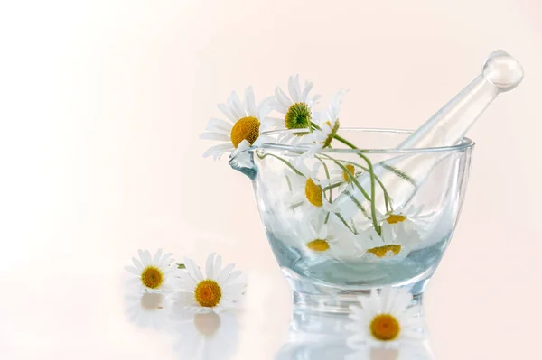 Image Daisies Glass Mortar Isolated White Background — Stock Photo, Image