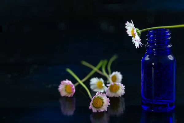Bottle Essential Oil Daisy Daisy Flowers Black Background — Foto Stock