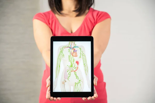 Woman Holding Screen Drawing Lymphatic System — Stok Foto