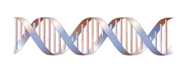 DNA double helix structure with adenine, thymine, cytosine, guanine.