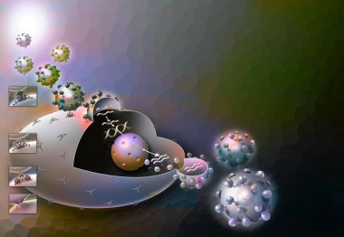 Penetration and duplication of the AIDS virus in the host cell.