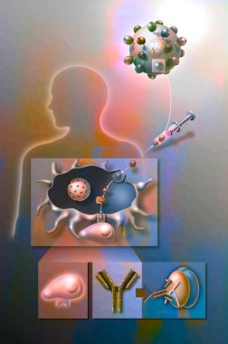 First attempt to search for a virus against AIDS by injecting GP120 molecules into the body.