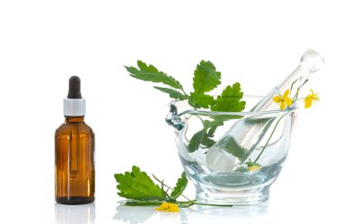 Close up of a flowering celandine oil and stem in a mortar isolated on a white background.