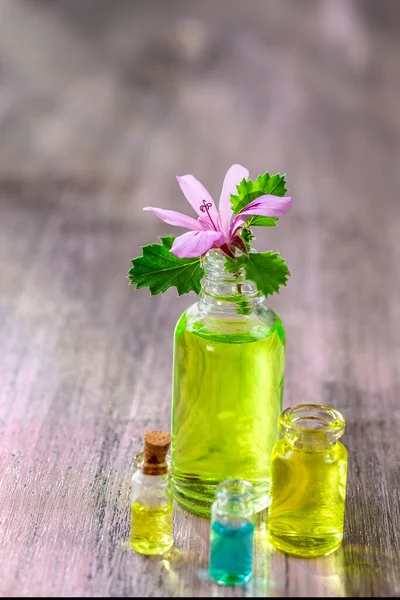 Geranium Essential Oil Extract Infusion Remedy Tincture Container — Stockfoto