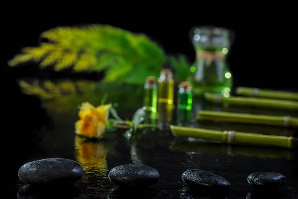 Beautiful Spa Composition Zen Basalt Stones Bamboo Essential Oil Plants — Stockfoto