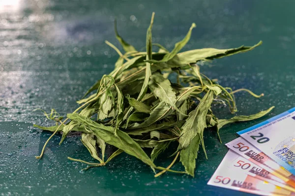 Cannabis Close Pile Dried Cannabis Leaves Banknotes Table — Fotografia de Stock